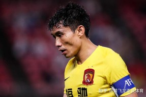 问鼎体育 -凤凰四重奏十二少结局