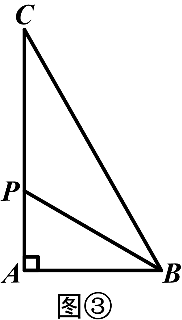 P羱歭c(dopi哆哌)